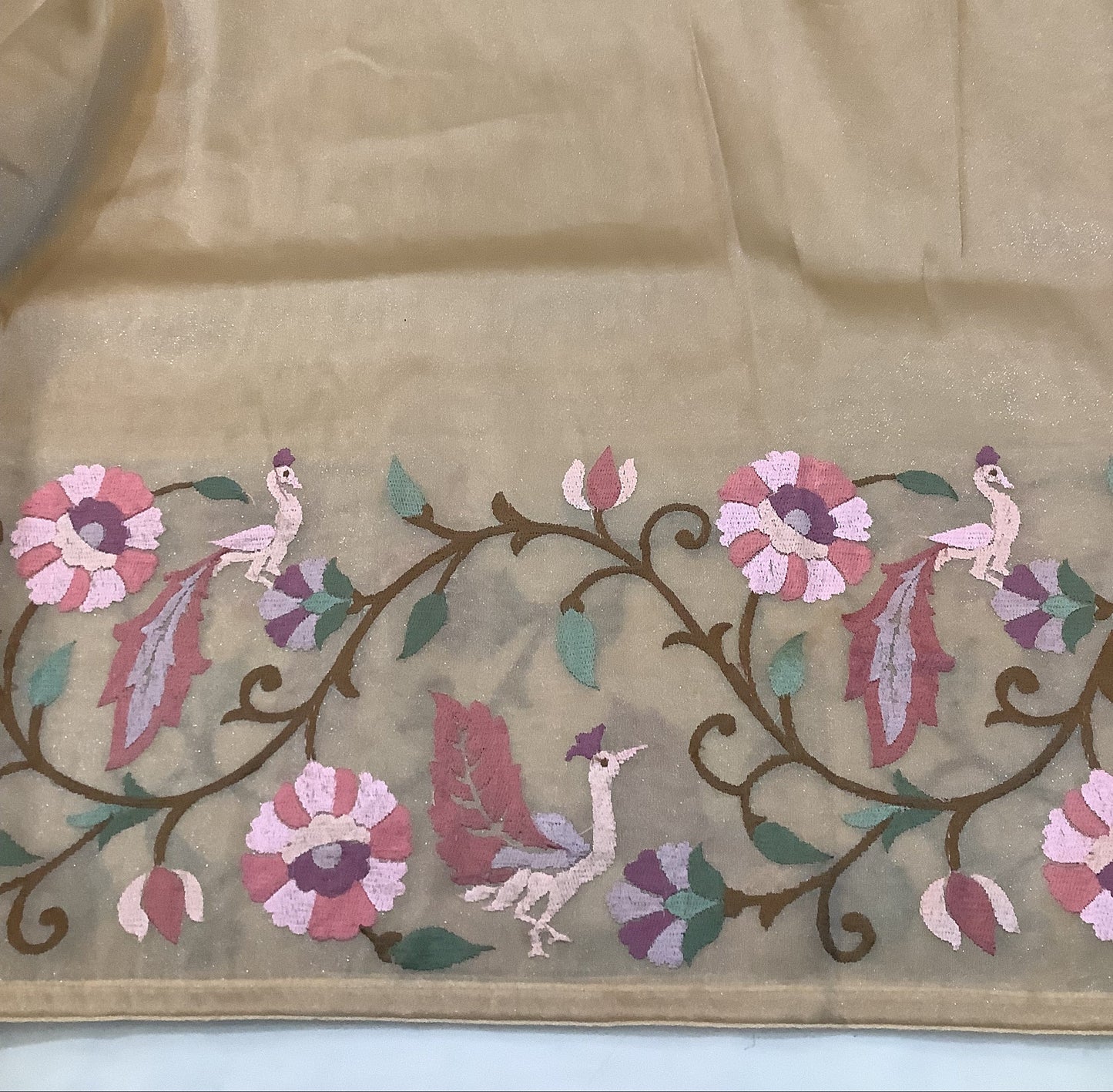 Champange Pure Silk Tissue Organza Saree