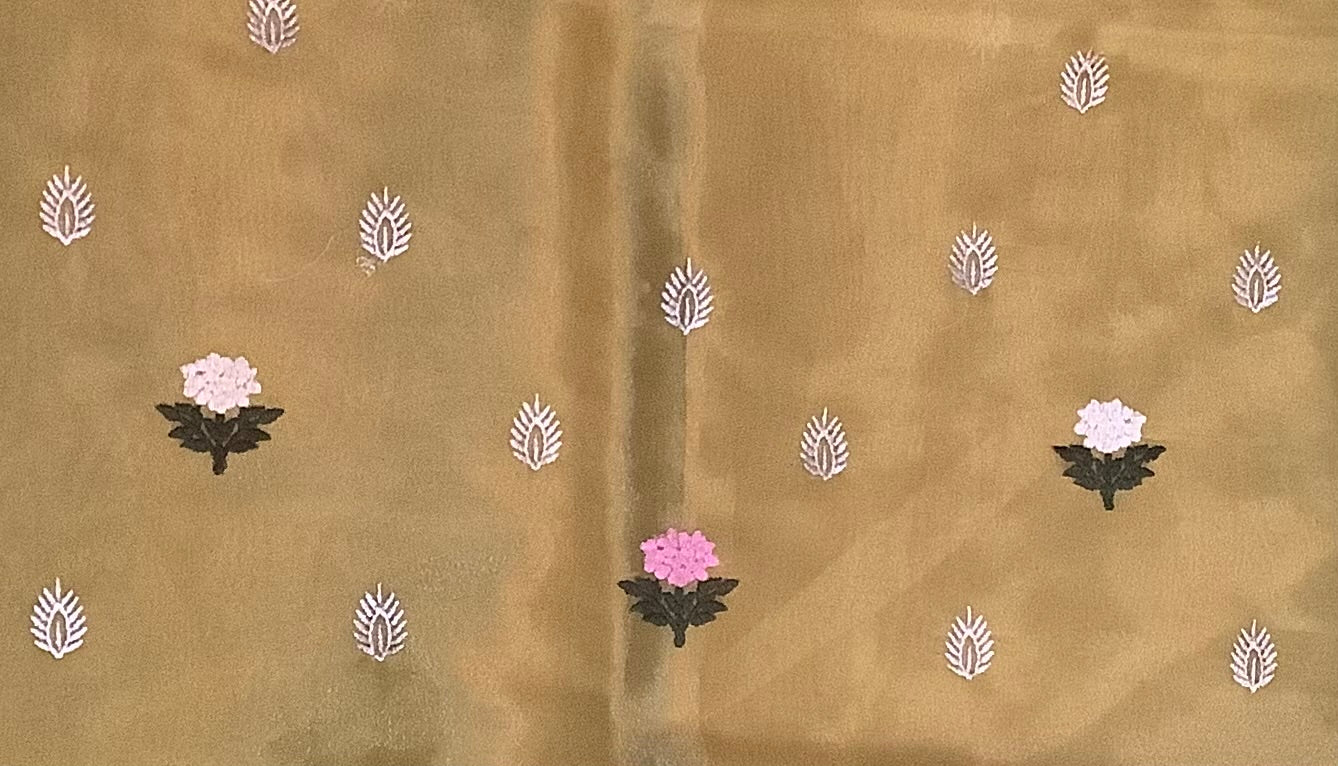 Champagne Gold Tissue Organza Saree