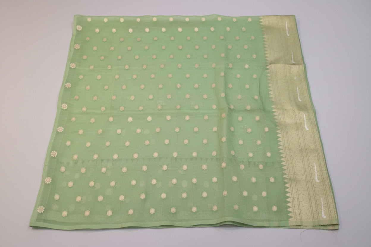 Green Tea Georgette Paithani Saree